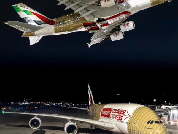 少妇真人直播免费视频