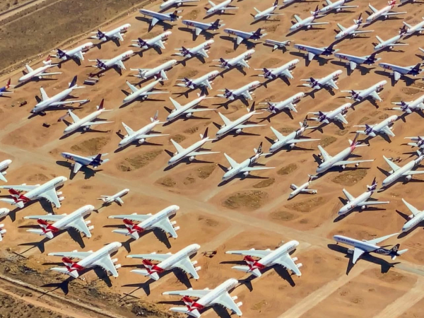 少妇真人直播免费视频